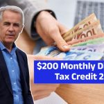 Canada Disability Tax Credit 2025